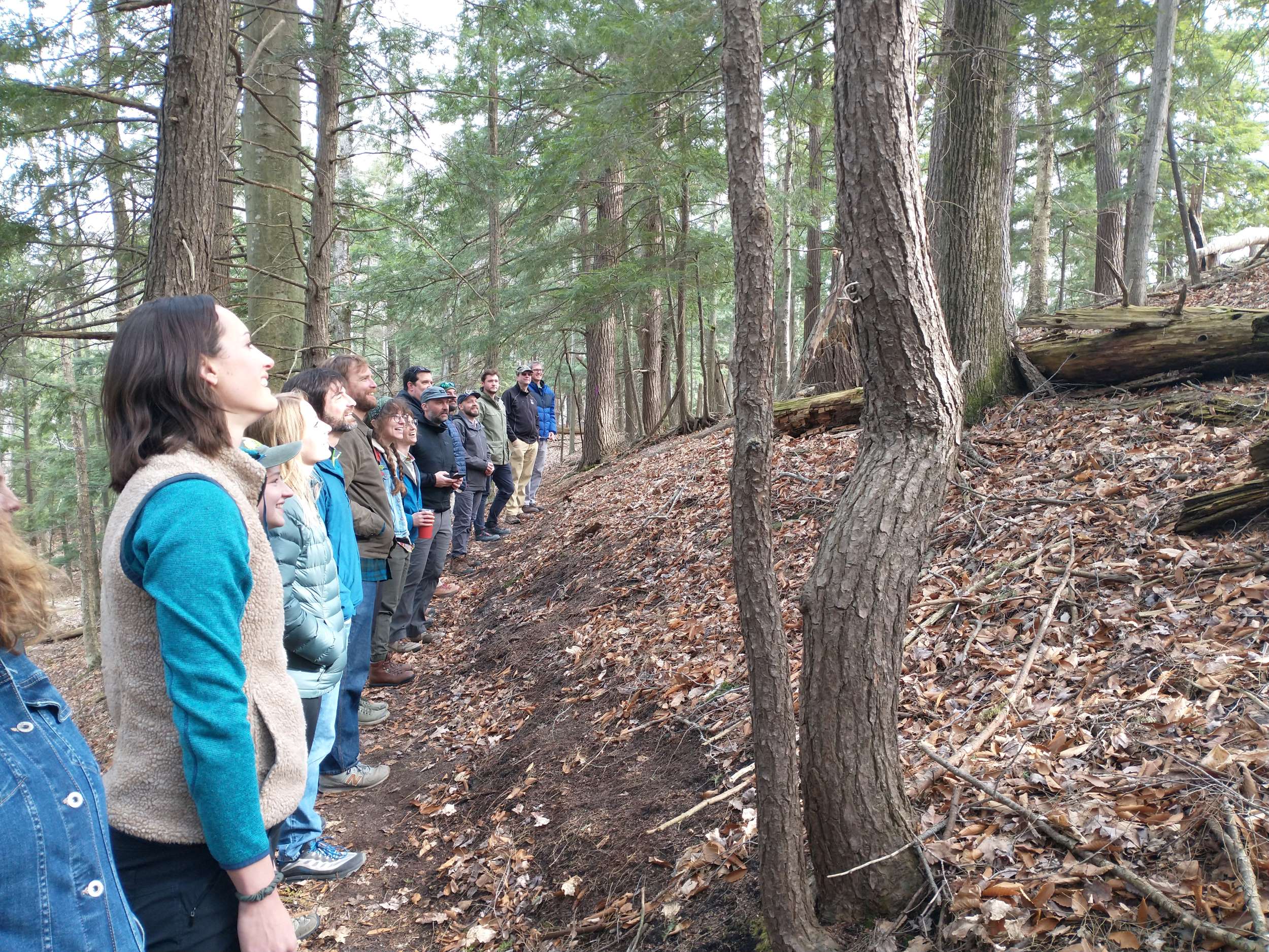 New trails at Lower Woodcock Lake Freshwater Reporter